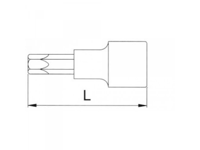 Головка торцевая с вставкой torx 1/2" T60 L=100мм
